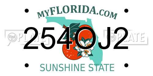 254OJ2 Florida License Plate