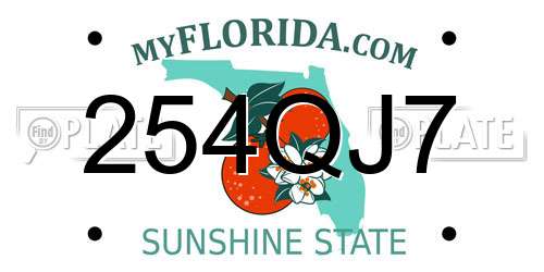 254QJ7 Florida License Plate
