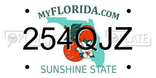 254QJZ Florida License Plate