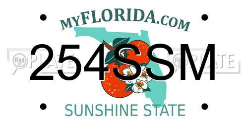 254SSM Florida License Plate