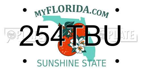 254TBU Florida License Plate