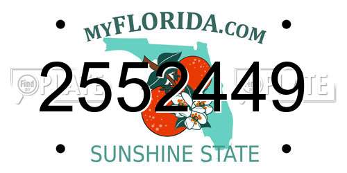 2552449 Florida License Plate