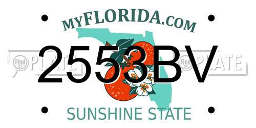 2553BV Florida License Plate