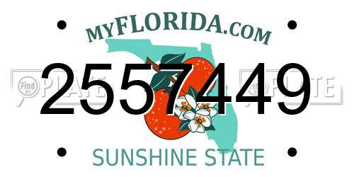 2557449 Florida License Plate
