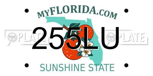 255LU Florida License Plate