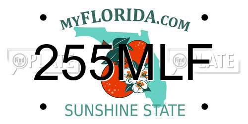 255MLF Florida License Plate