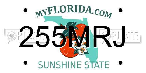 255MRJ Florida License Plate