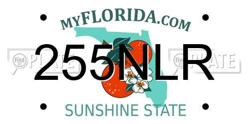 255NLR Florida License Plate