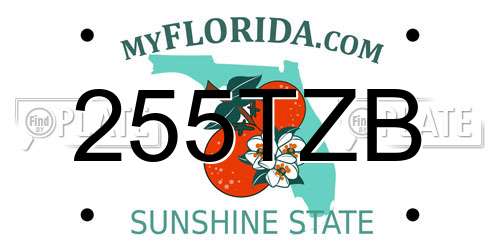 255TZB Florida License Plate