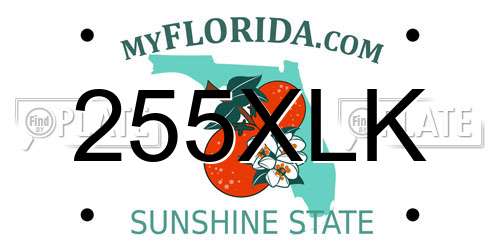 255XLK Florida License Plate