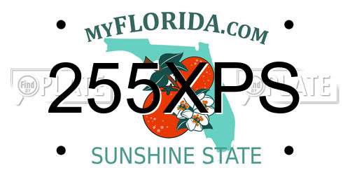 255XPS Florida License Plate