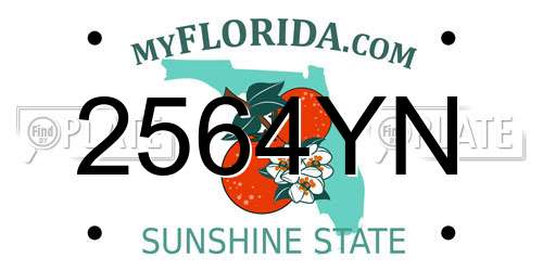 2564YN Florida License Plate