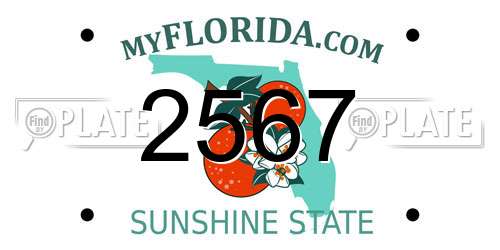 2567 Florida License Plate
