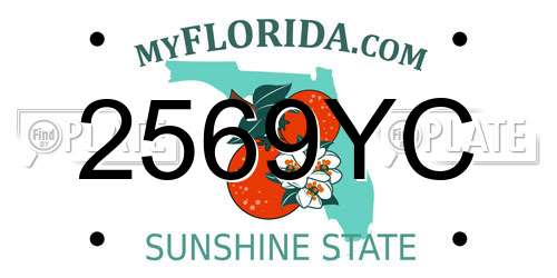 2569YC Florida License Plate