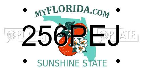 256PEJ Florida License Plate
