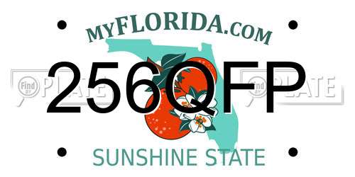 256QFP Florida License Plate