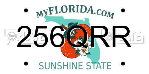 256QRR Florida License Plate