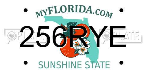 256RYE Florida License Plate