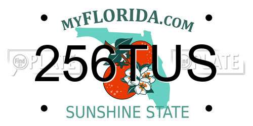 256TUS Florida License Plate