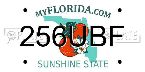 256UBF Florida License Plate