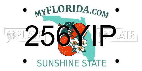 256YIP Florida License Plate