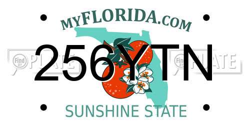 256YTN Florida License Plate