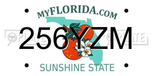 256YZM Florida License Plate