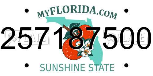 257187500 Florida License Plate