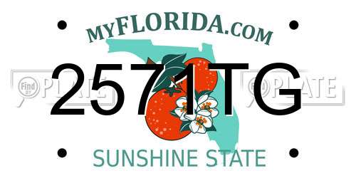2571TG Florida License Plate