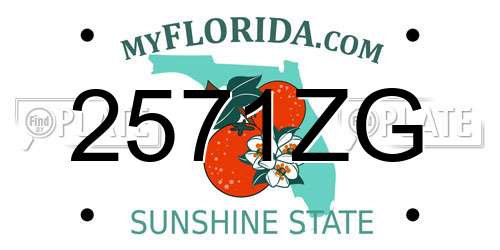 2571ZG Florida License Plate