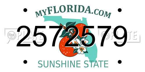 2572579 Florida License Plate