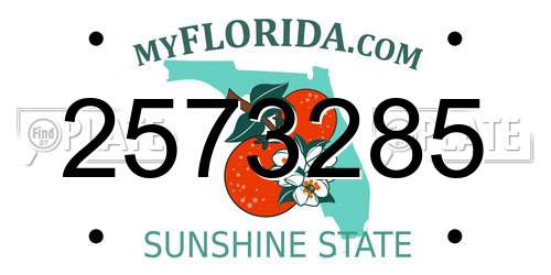 2573285 Florida License Plate