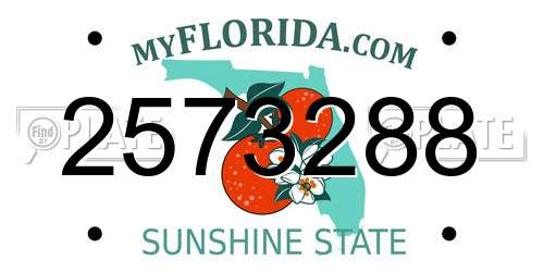 2573288 Florida License Plate