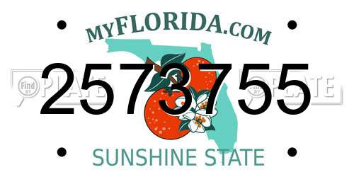 2573755 Florida License Plate