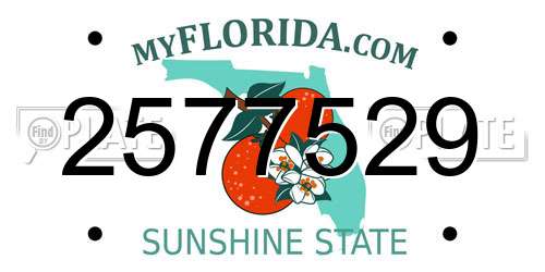2577529 Florida License Plate