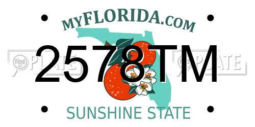 2578TM Florida License Plate