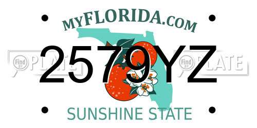 2579YZ Florida License Plate