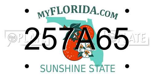 257A65 Florida License Plate