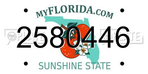 2580446 Florida License Plate