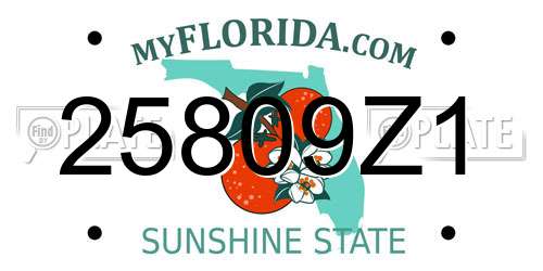 25809Z1 Florida License Plate