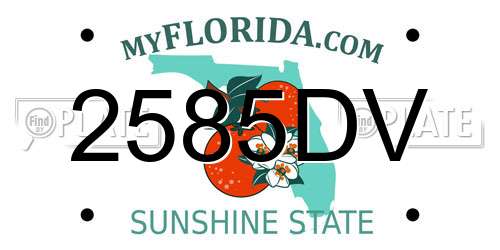 2585DV Florida License Plate