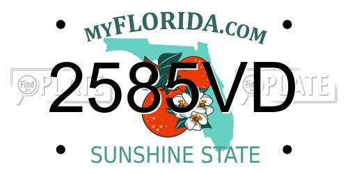 2585VD Florida License Plate
