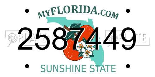 2587449 Florida License Plate