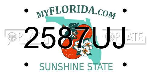 2587UJ Florida License Plate