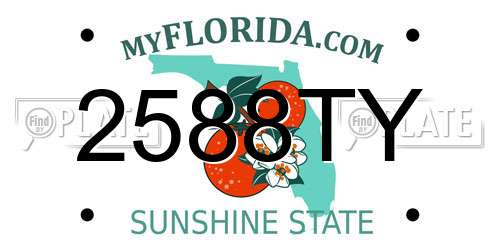 2588TY Florida License Plate