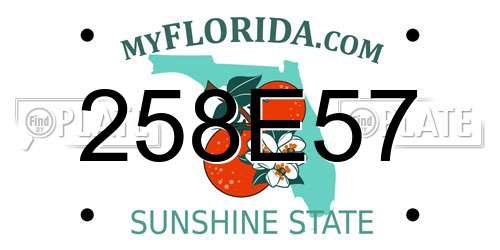 258E57 Florida License Plate
