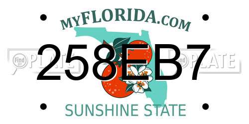 258EB7 Florida License Plate