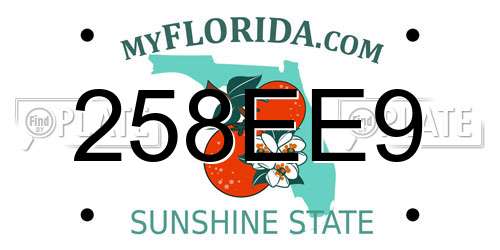 258EE9 Florida License Plate