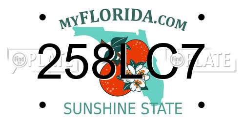 258LC7 Florida License Plate