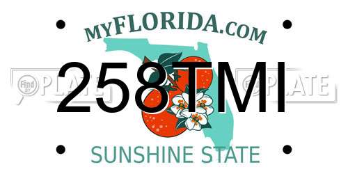 258TMI Florida License Plate